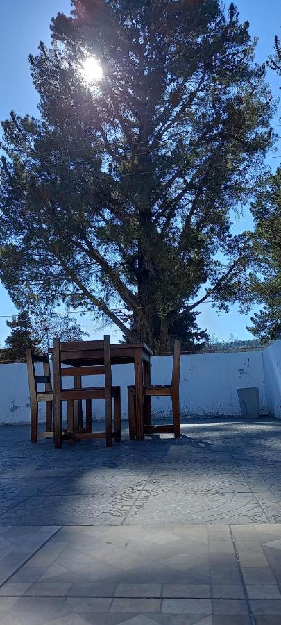 نزل إيسكيلفي Pinto Terraza المظهر الخارجي الصورة